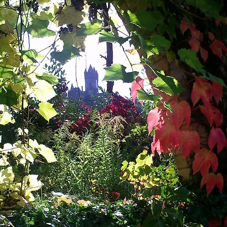 ゲストハウス Haus-anka