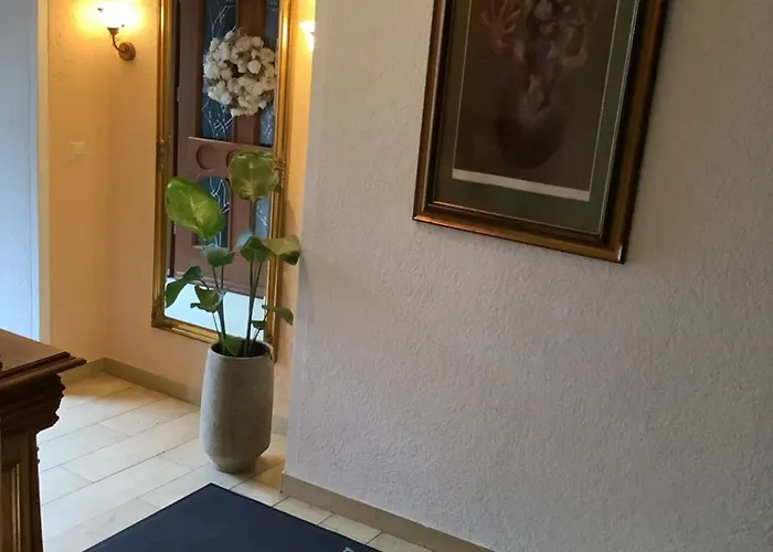 Haus-anka 3* كوتشيم